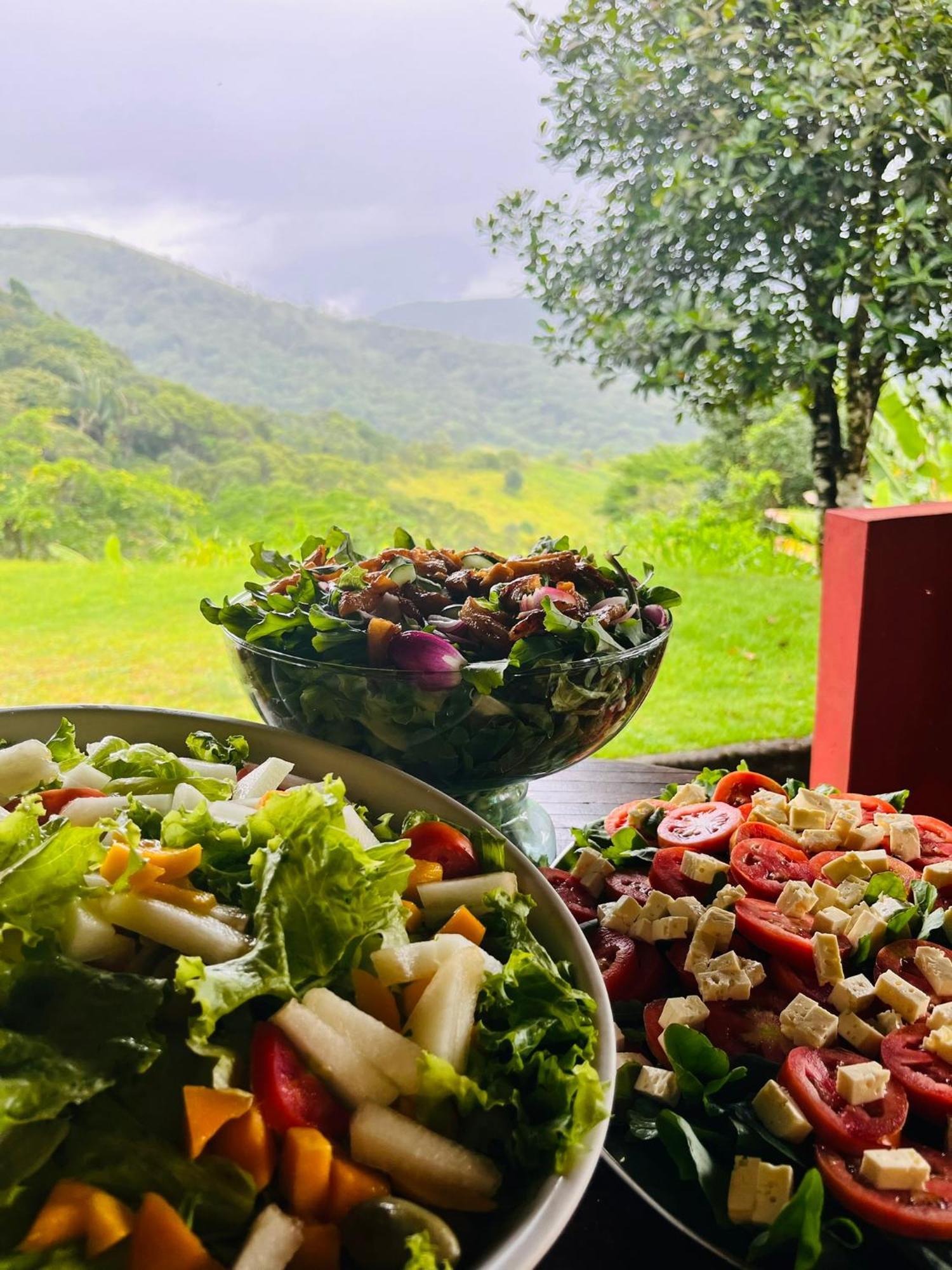 Pousada e Restaurante Alto da Serra Bonito (Pernambuco) Exterior foto
